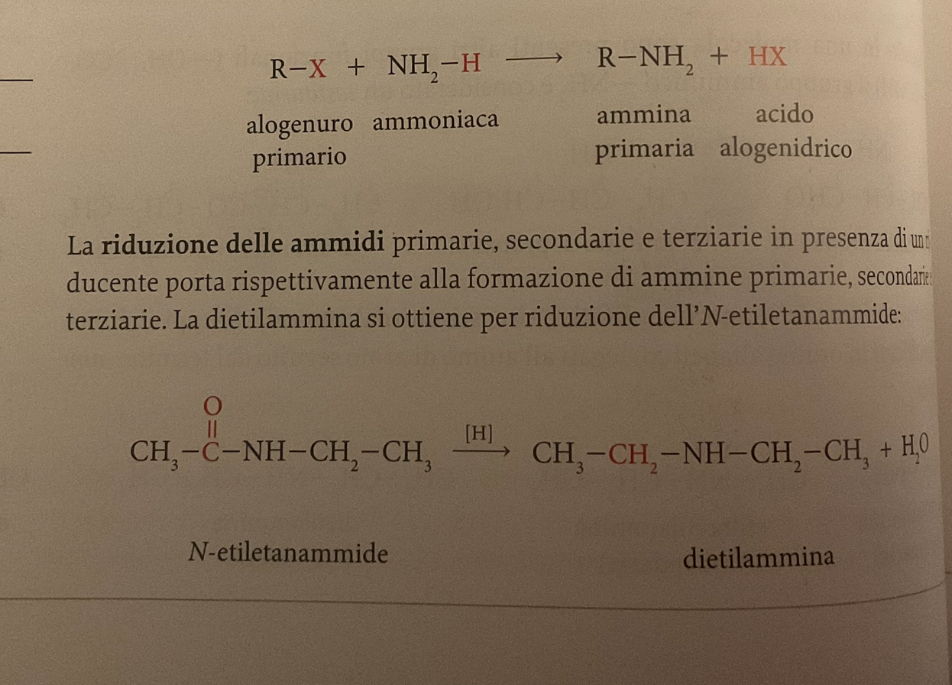 <p><span>Le reazioni di sintesi delle ammine alifatiche sono: 1 l’alchilazione dell’ammoniaca (sostituzione nucleofila Sn2) </span></p><p><span>2 la riduzione delle ammidi (rompo il legame amminico e riduco).</span></p>