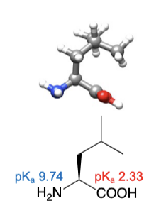 <ul><li><p>abbreviations: Leu, L</p></li><li><p>same number of carbons as isoleucine, but different atom arrangement</p></li></ul><p></p>