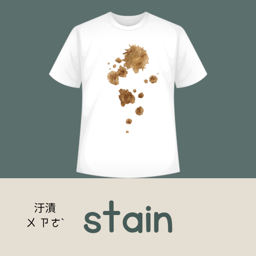 <p>stain</p>