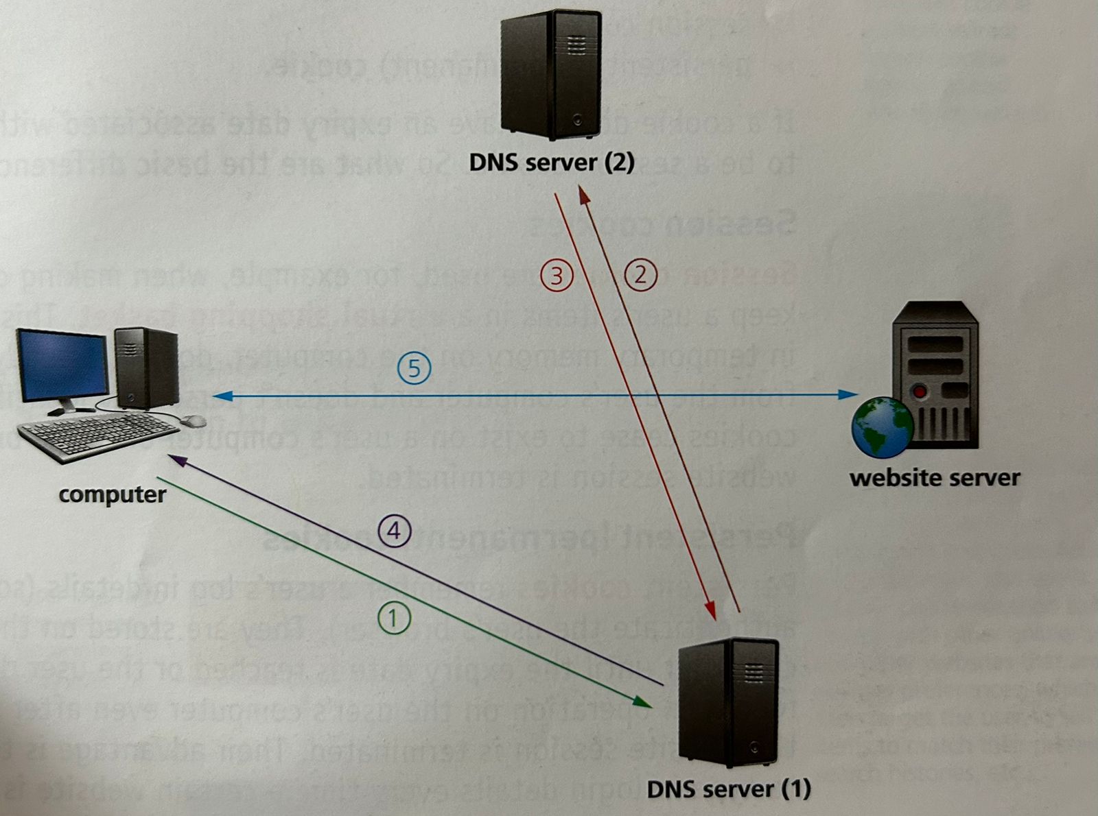 <ol><li><p><span style="color: red;">The user opens their browser and types in the URL. The browser asks the DNS server (1) for the IP address of that website.</span></p></li><li><p><span style="color: purple;">If unable to find the IP address in its cache or database it sends out a request to DNS server (2)</span></p></li><li><p><span style="color: green;">DNS Server (2) finds the URL and maps it to the IP address which is sent back to DNS Server (1) which now puts this IP address and associated URL into its cache/database.</span></p></li><li><p><span style="color: blue;">IP address is sent back to the user’s computer</span></p></li><li><p><span style="color: rgb(255, 84, 197);">The computer now sets up a communication with the website server and required files are downloaded. HTML files are sent from the website server to the computer. Browser interprets the HTML, which is used to structure content, and then displays the information on the user’s computer.</span></p></li></ol><p></p>