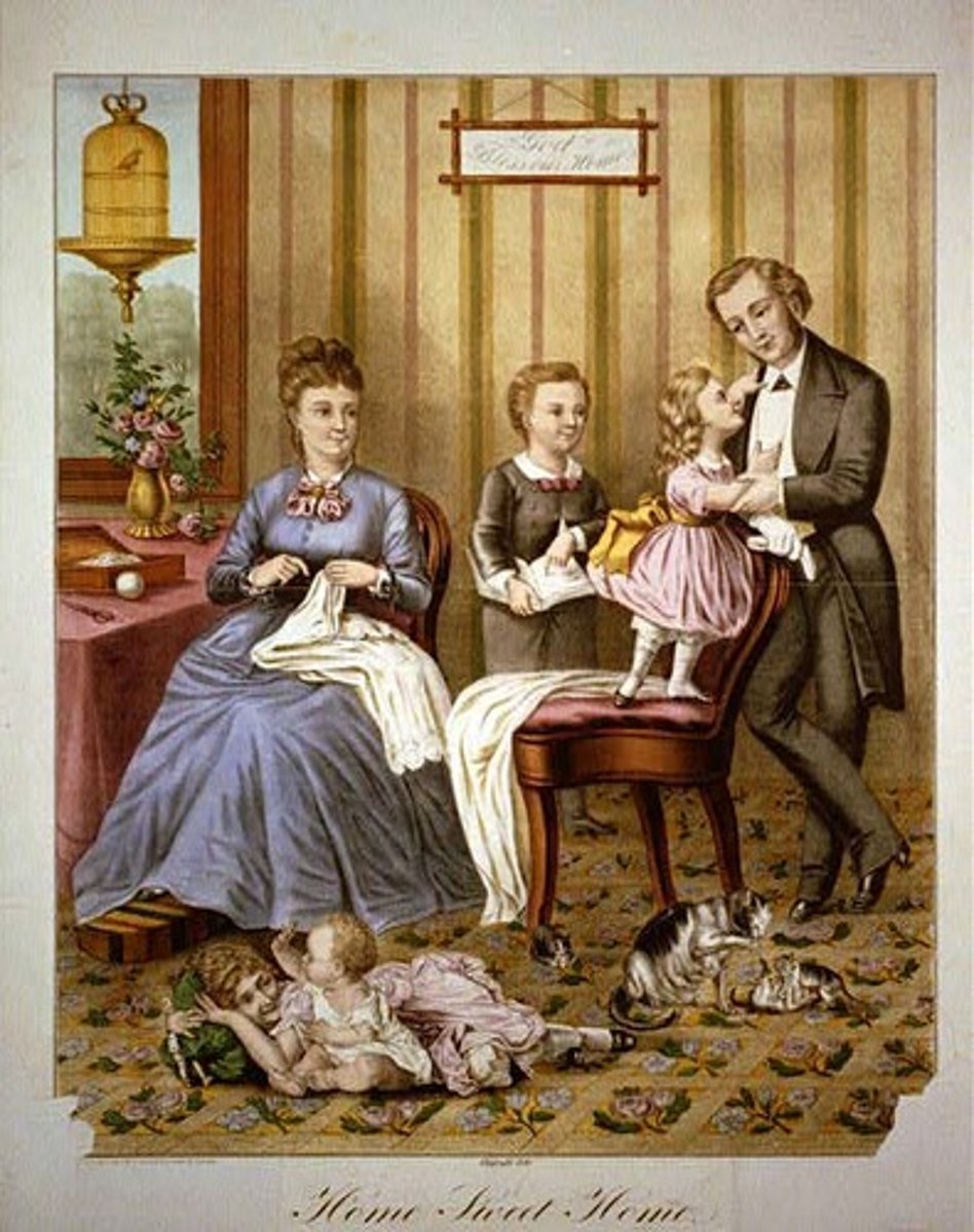 <p>the ideal woman was seen as a tender, self-sacrificing caregiver who provided a nest for her children and a peaceful refuge for her husband, social customs that restricted women to caring for the house</p>