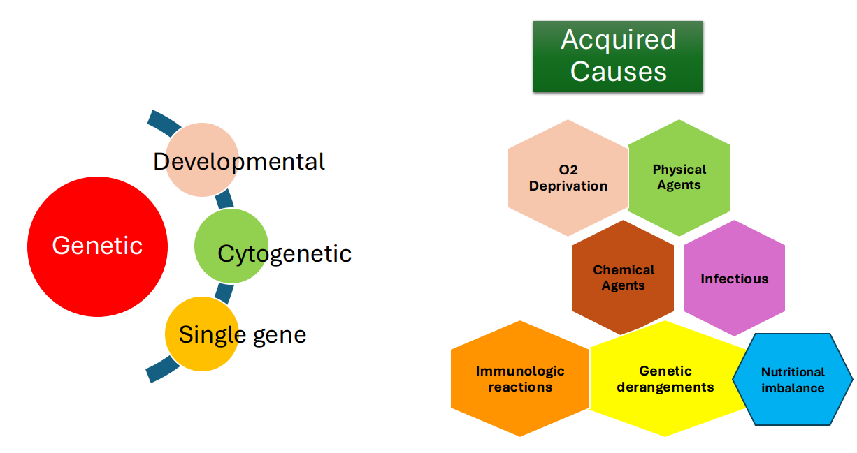 <p>Acquired Cases and Genetic Disorders</p>