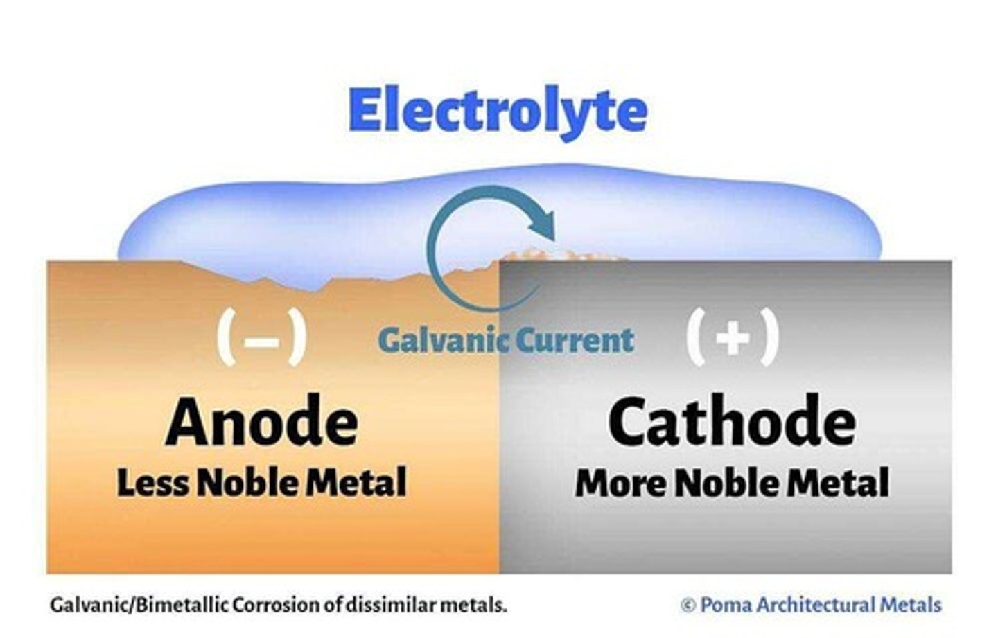 <p>occurs when two dissimilar metals are immersed in a conductive solution and are electrically connected</p>