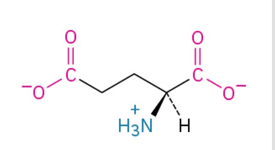 <p>Acidic, hydrophilic, nonessential amino acid</p>