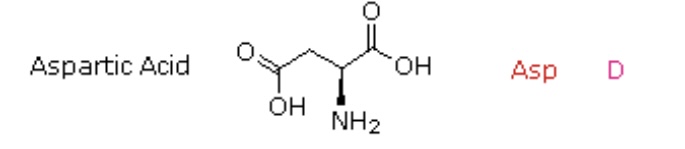 <p>Asp, D</p>