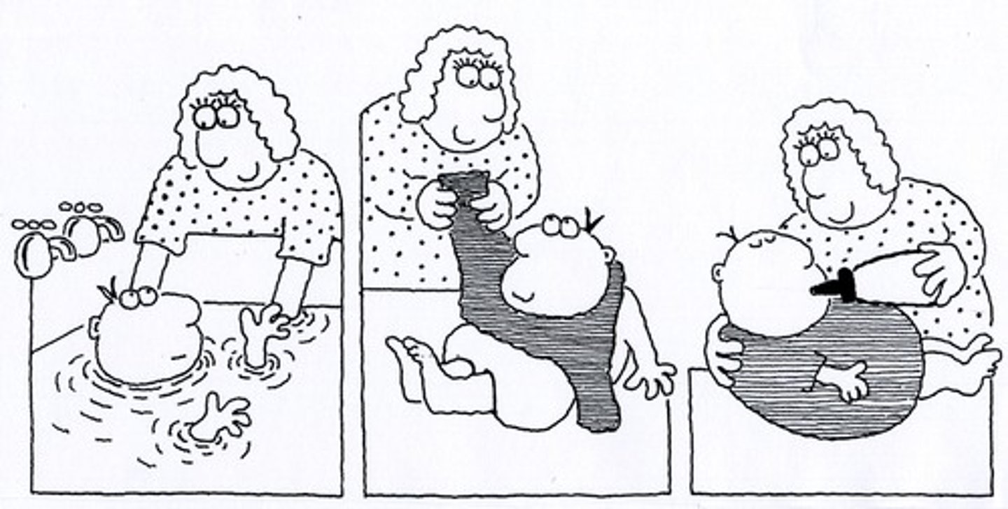 <p>Chăm sóc / lo liệu</p>