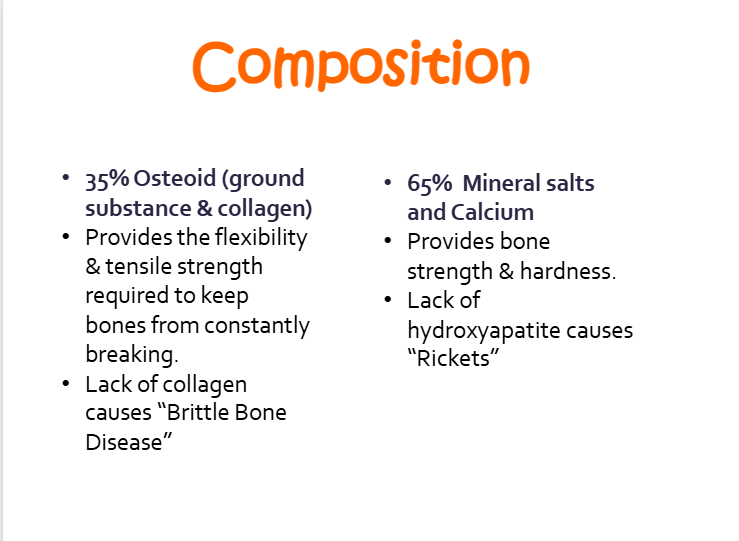 <p>a. provides the flexibility and tensile strength required to keep bones from constantly breaking</p><p>b. lack of collagen causes “brittle bone disease”</p>