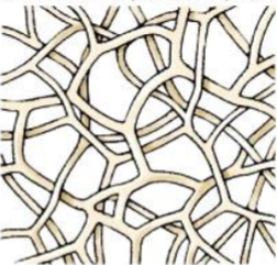 <p>What is this?</p>