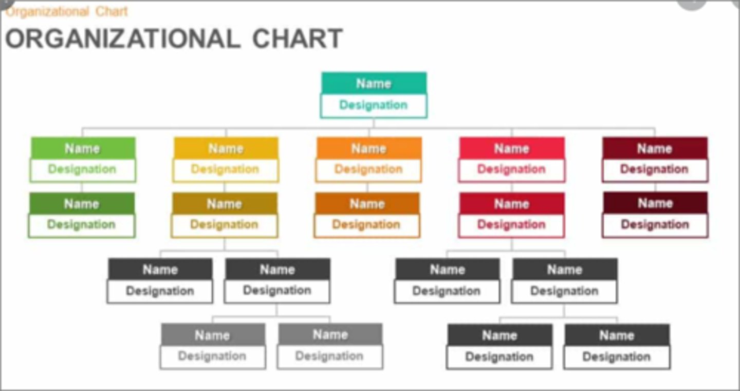 <p>Diagrams or documents describing an organization's people, locations, operating units, products, services, and any other important information about the organization.</p>