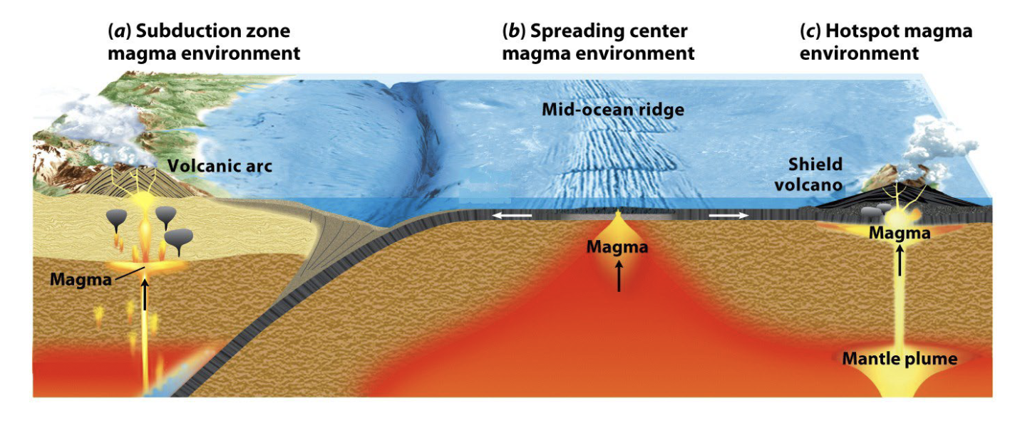 <p>Where do deep-sea trenches form</p>