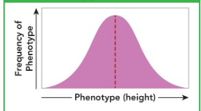 <p>This is an example of which kind of trait?</p>