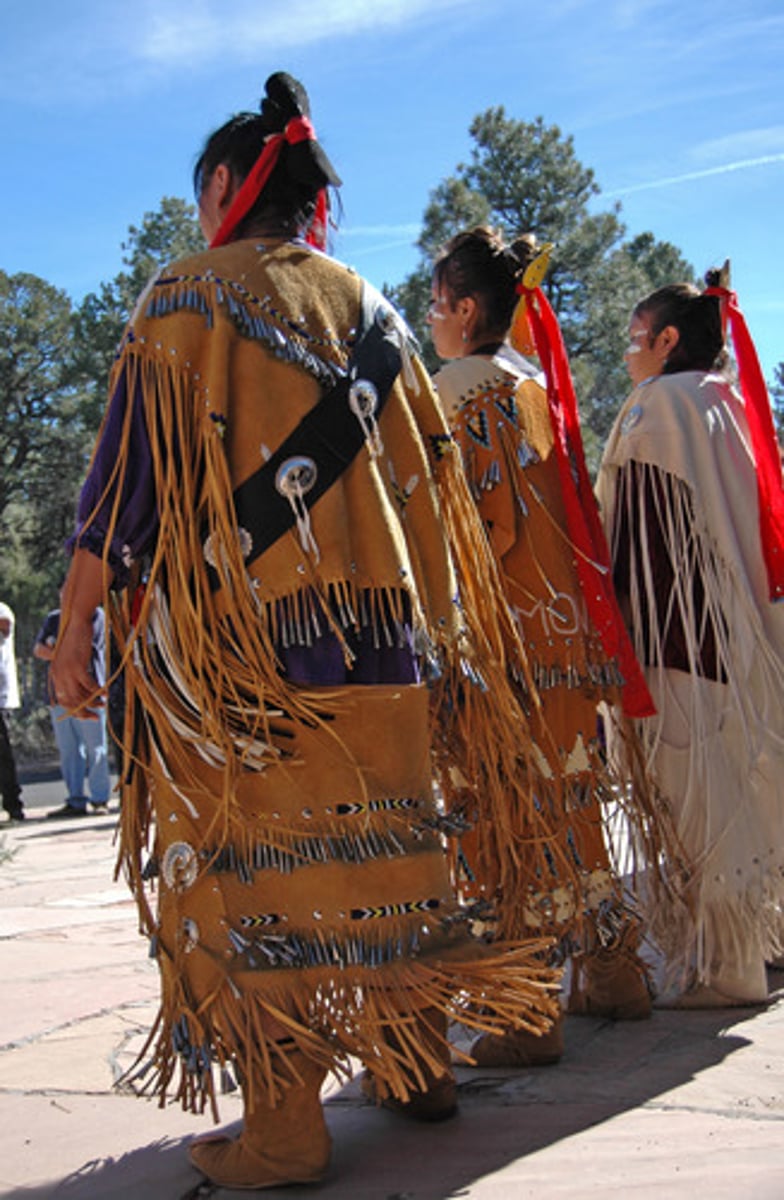 <p>Native American confederacy nations were the Mohawk, Oneida, Onondaga, Cayuga, and Seneca.</p>