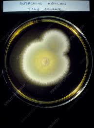 <p>What is this?</p>