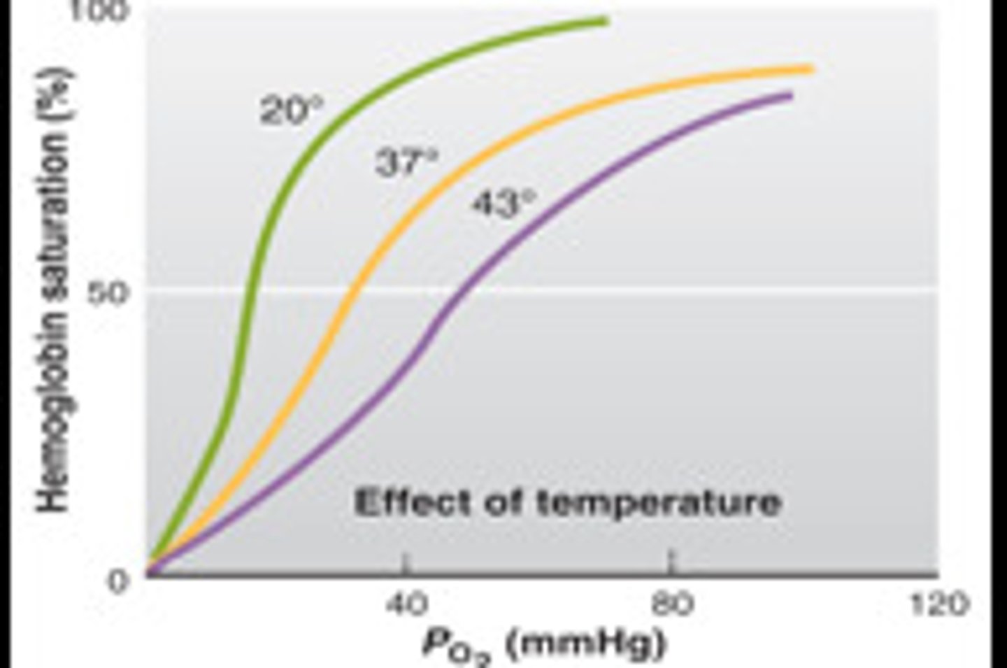 <p>percentage of heme units containing bound oxygen</p>