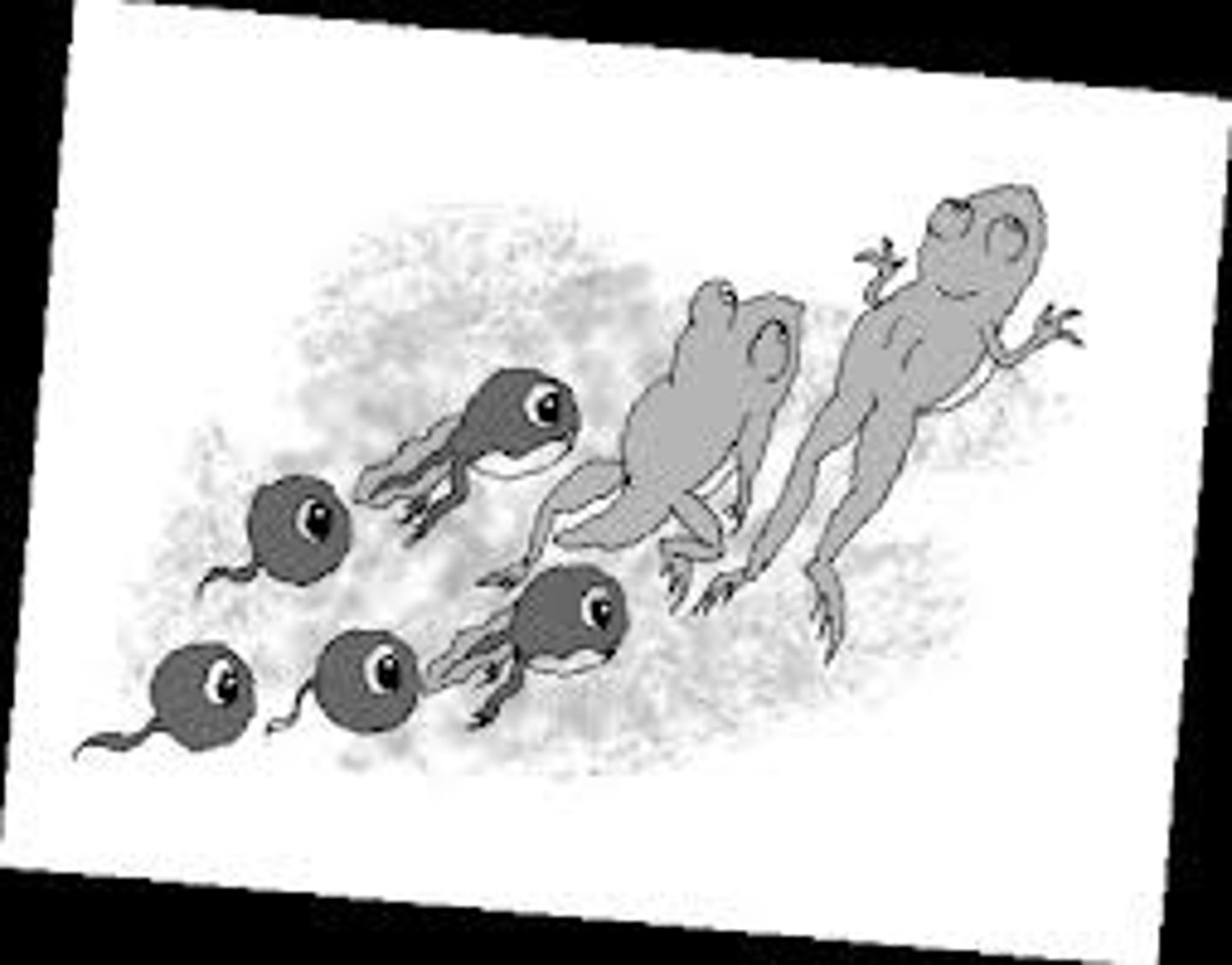 <p>变成 (biàn chéng)</p>