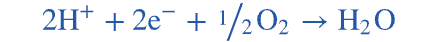 Describe the terminal step