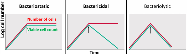 <ul><li><p>effect on growth: bacteriostatic, bactericidal and bacteriolytic agents </p></li></ul><p></p>