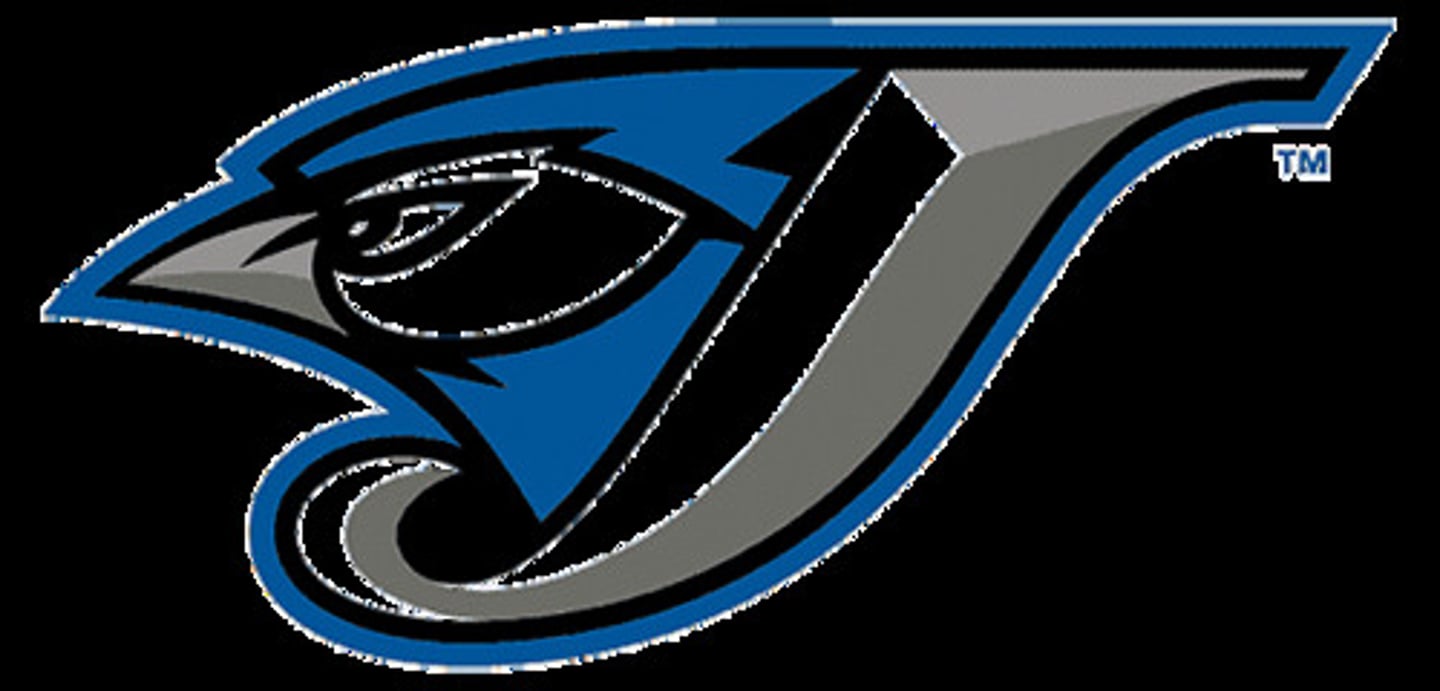 <p>Blue Jays</p>