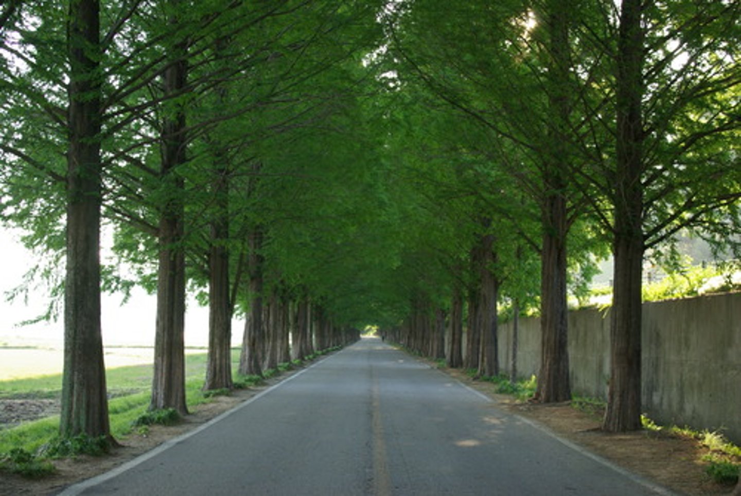 <p>street, road</p>