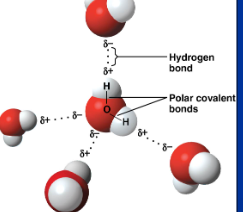 <p>weak bond</p><p>h of polar covalent molecule bonds to electronegative atom of other polar covalent molecules</p>