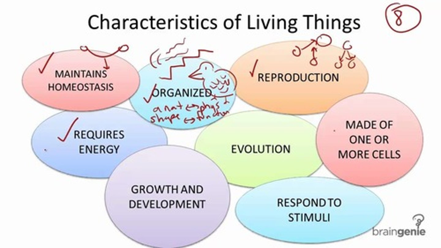 <p>Reaction to or interact with the environment, Reproduce, Cellular Respiration (use energy), Growth/Development, Complex Structure, Evolves</p>