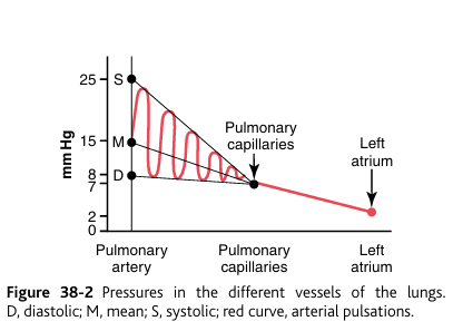 <p>The mean pulmonary capillary pressure, as diagrammed in Figure 38-2, is about 7 mm Hg. The importance of this low capillary pressure is discussed in detail later in the chapter in relation to fluid exchange functions of the pulmonary capillaries.</p>