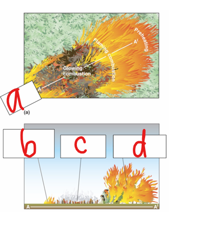 <p>What does c represent in the image?</p>