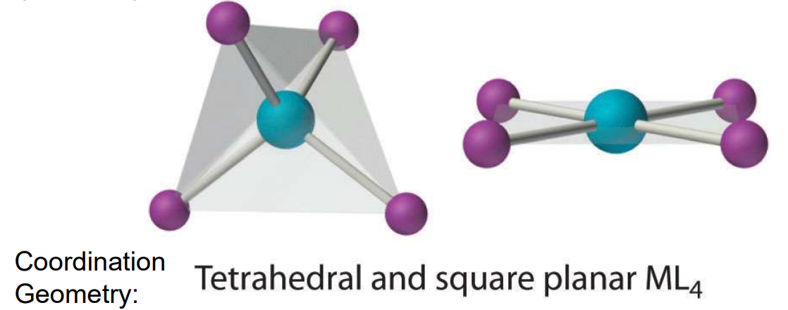 <ul><li><p>Either tetrahedral or square planar. </p></li><li><p>Tetrahedral forms with halides ligands or d<sup>10</sup>&nbsp;TM ions</p></li><li><p>Square planar common for d<sup>8</sup> TM ions (Rh(I), Ir(I), Pd(II), Pt(II), Au(III), Ni(II)).</p></li></ul><p></p>