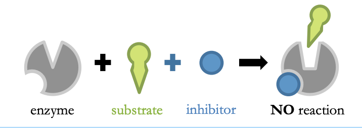 Non-competitive Inhibition