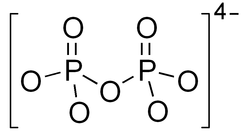 <p>-2 phosphates still bound together</p>