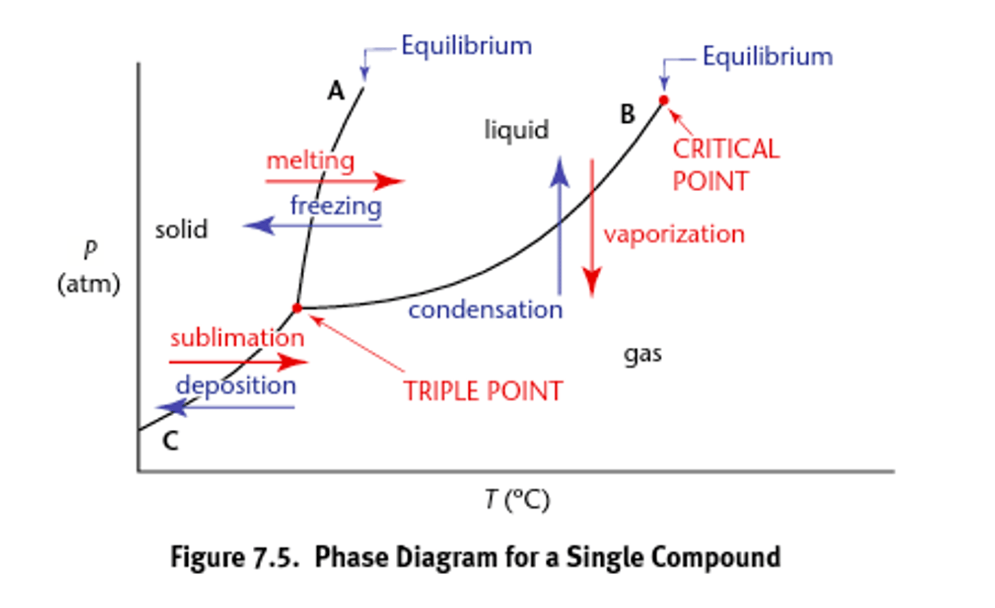 <p>Graphs the phase equilibria as a function of temperature and pressure for a system.</p>