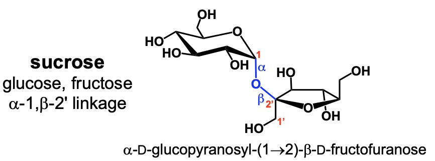 <p>sucrose</p>
