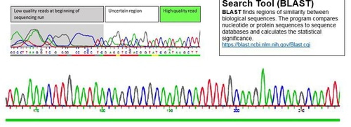 <p>Basic Local Alignment Search Tool for sequence comparison.</p>