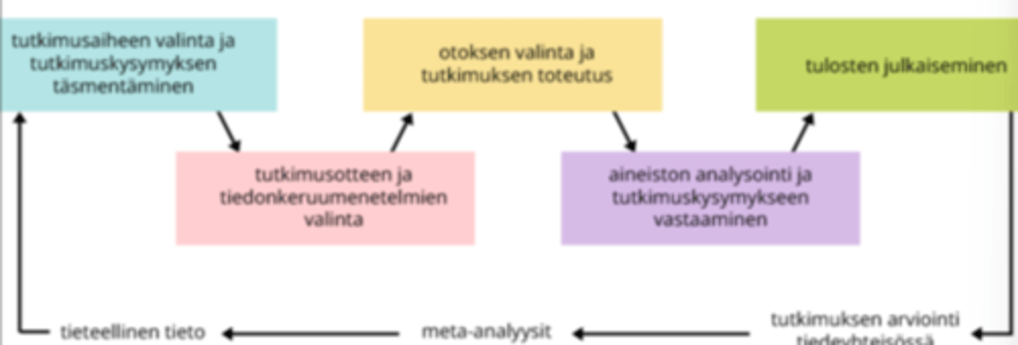 <p>1. Tutkimusaiheen valinta ja tutkimuskysymyksen täsmentäminen.</p><p>2. Tutkimusotteen ja tiedonkeruumenetelmien valinta.</p><p>3. Otoksen valinta ja tutkimuksen toteutus.</p><p>4. Aineiston analysointi ja tutkimuskysymykseen vastaaminen.</p><p>5. Tulosten julkaiseminen.</p><p>6. Tutkimuksen arviointi tiedeyhteisössä.</p><p>7. Mahdolliset meta-analyysit.</p><p>8. Tieteellinen tieto.</p>