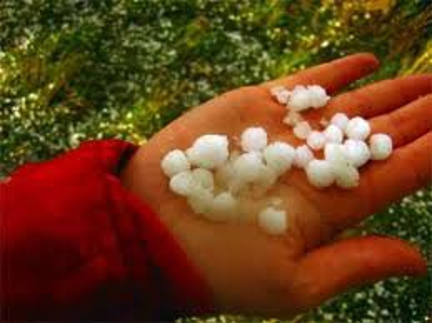 <p>ice pellets falling from clouds when there are strong rising air currents</p>
