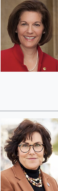 <p></p>