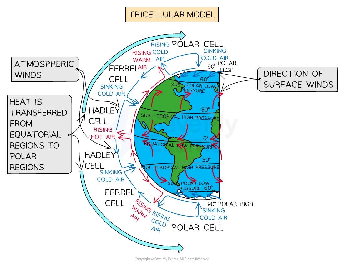 <p>model of atmospheric circulation</p><ul><li><p>Hadey cell</p></li><li><p>Ferrel cell</p></li><li><p>Polar cell</p></li></ul><p></p><p></p><ul><li><p>warmest air at equator</p></li><li><p>coldest air at the poles</p></li></ul><p></p>