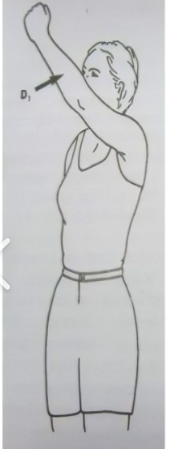 <p>What position is this?</p>