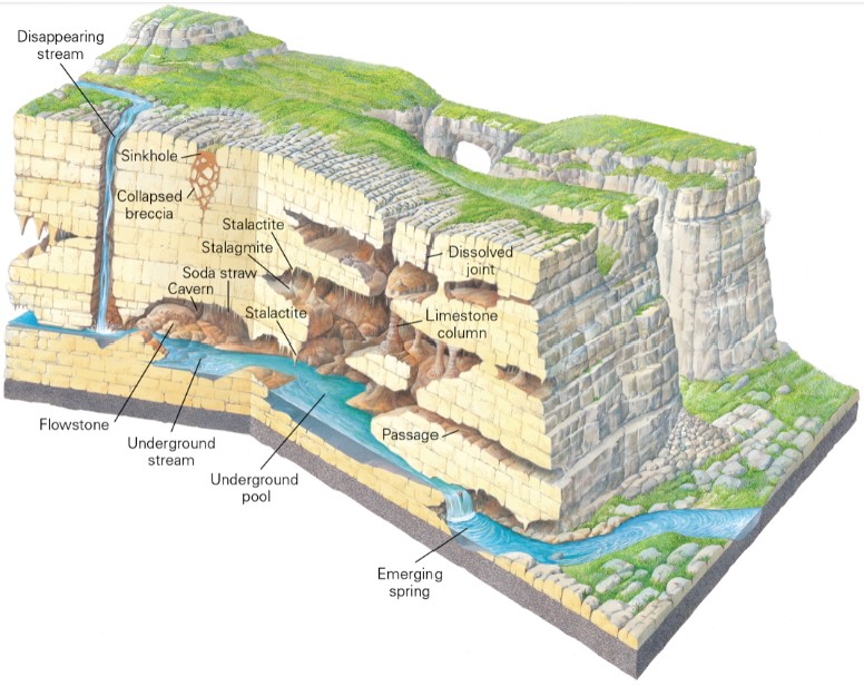 * sinkholes
  * ground depression caused by collapse into an underground cavern 
* caverns
  * large natural underground cave or tunnel
* limestone columns
* can be due to percolation