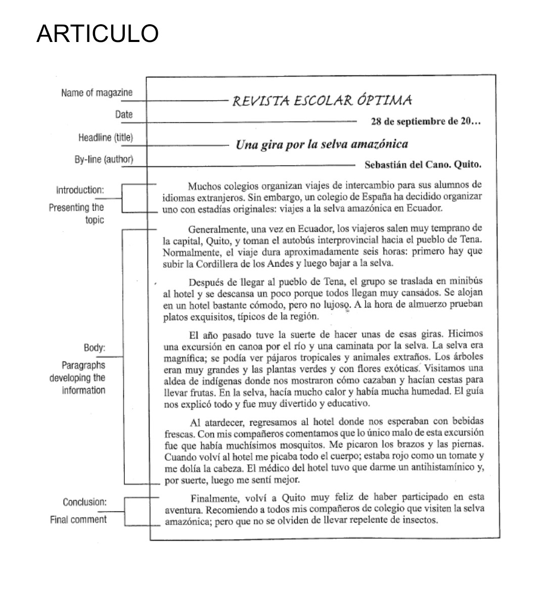 <p>articulo</p>