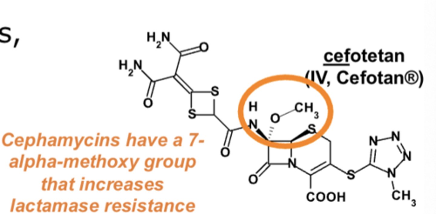<p>7-alpha-methoxy group</p>