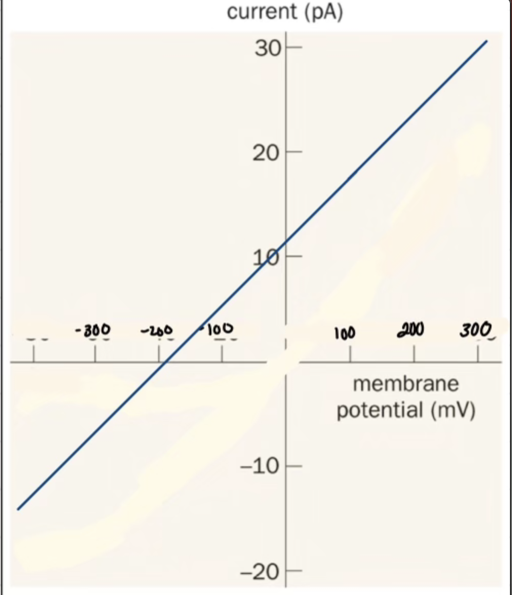 <ul><li><p>+ slope form - ions works how?</p></li></ul><p></p>