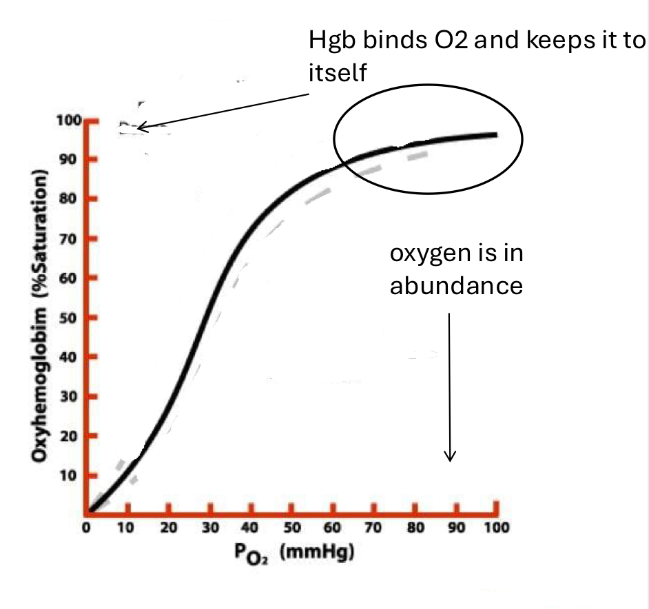 <ul><li><p>heme grabs and HOLDS on to as much O2 as possible when available and tissues are not demanding</p></li></ul><p></p>