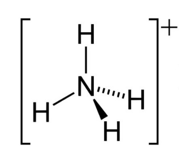 <p>What is the pka of this molecule (ammonium)</p>