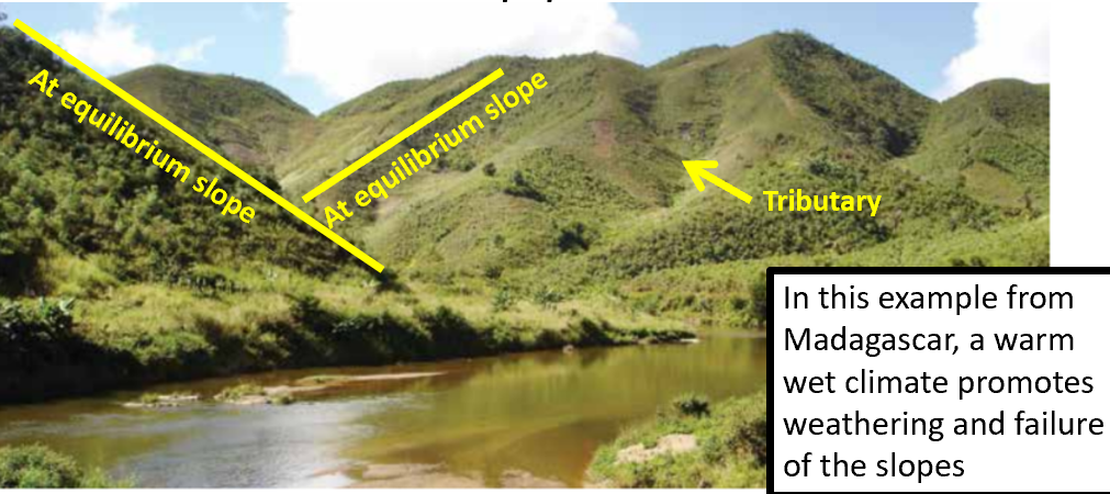 <p>Through erosion, rivers incise uplifted land to form valleys</p><ul><li><p>where rocks are soft and weathering rates are high, steepened valley walls fail which results in at-equilibrium slopes</p></li><li><p>associated processes: slumps and debris flows</p></li><li><p>this leads to the v-shape profile of fluvial environments</p></li></ul><p></p>