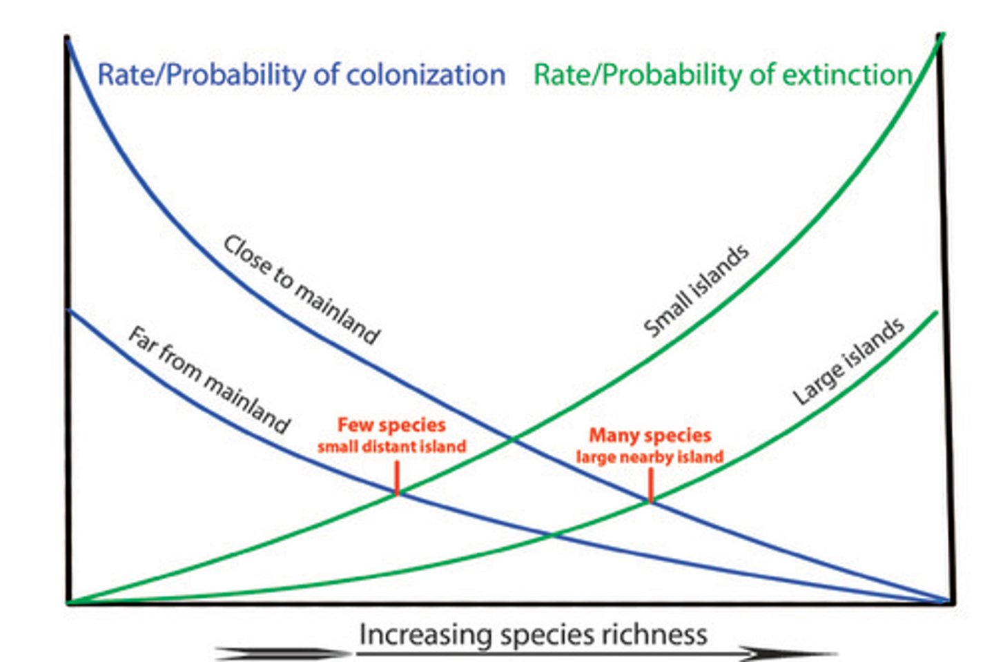 <p>Study of ecological relationships on an island.</p>