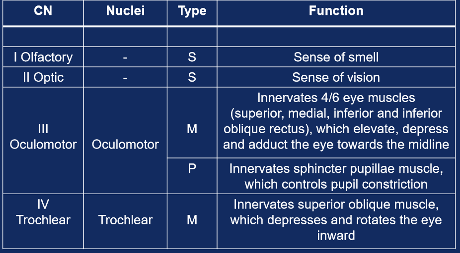 knowt flashcard image