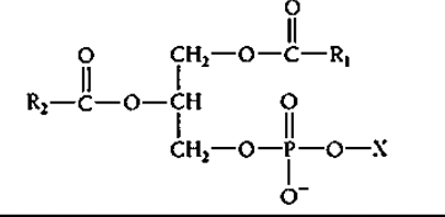 <p>True or False: the first hydroxyl, R1 is saturated</p>