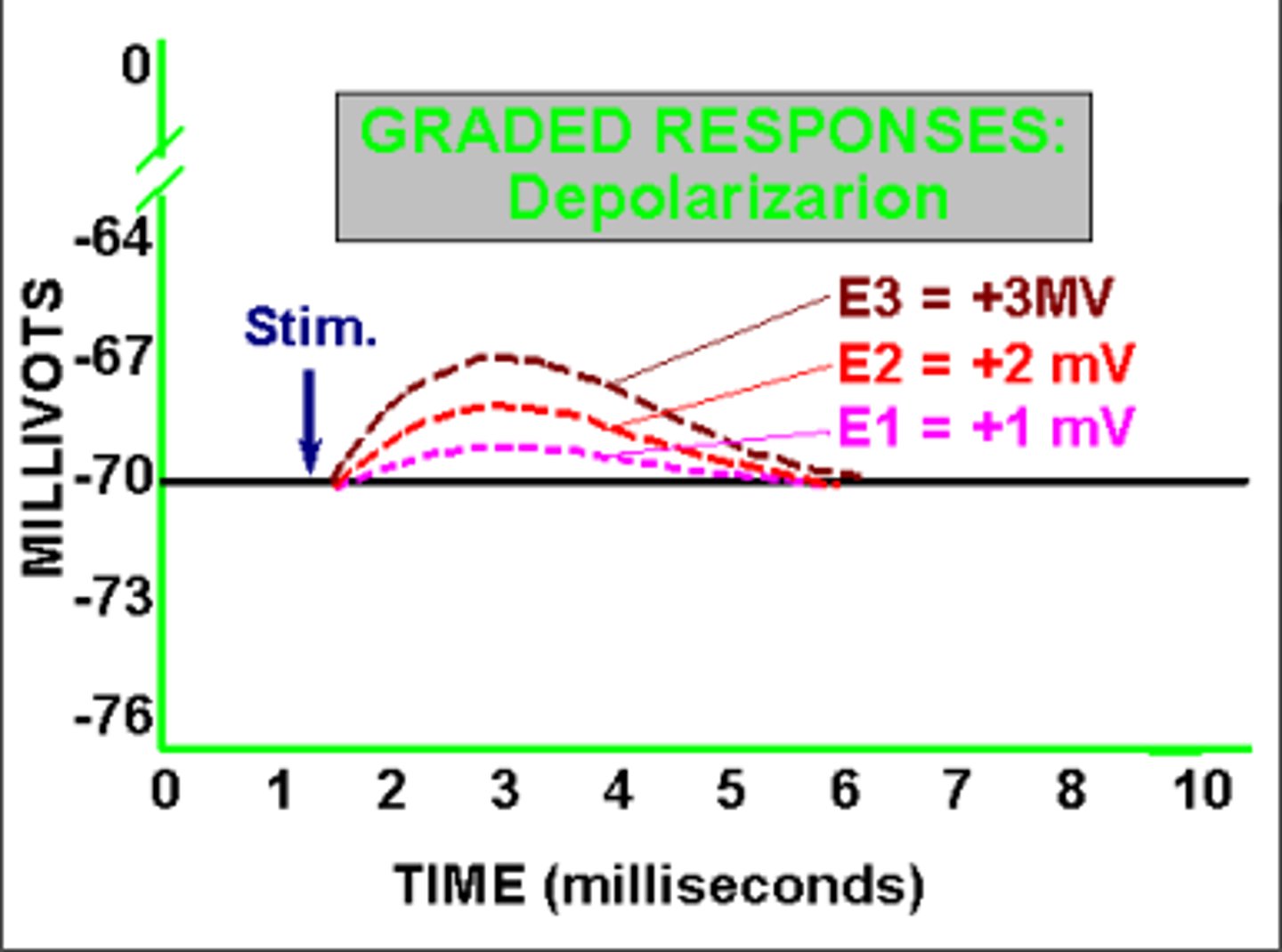<p>1. A transient electrical signal that occurs due the permeability changes across the membrane, that can be of varying magnitude</p><p>2. Not "all or none"</p><p>3. Dissipate with membrane distance</p><p>4. Can be -70mV, -65mV etc</p>