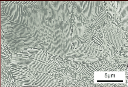 <p>lamellar structure made of ferrite and carbide</p>